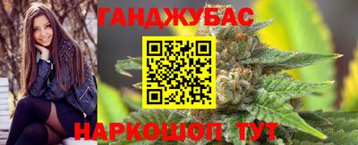шишки Будённовск