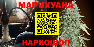 шишки Будённовск