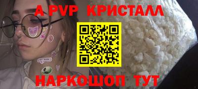 шишки Будённовск