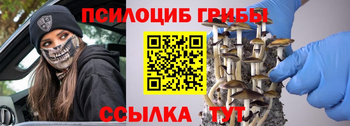 Псилоцибиновые грибы мухоморы Саранск