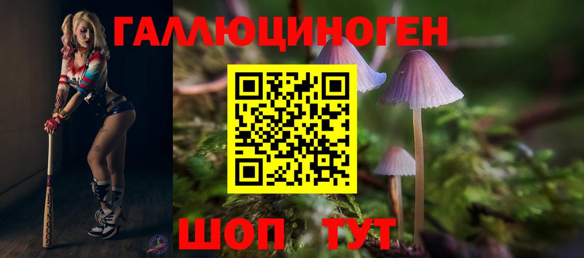 Саранск  купить наркоту  Псилоцибиновые грибы Cubensis  Вход с VPN  Галлюциногенные грибы прущие грибы 